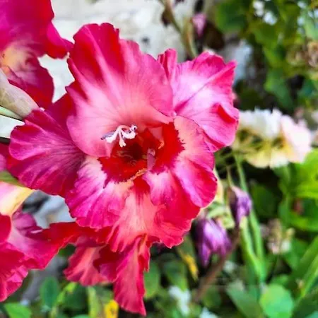 Prázdninový dům Des Cornettes Écardenville-sur-Eure